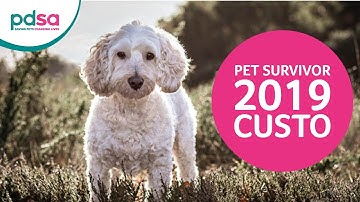 PDSA Pet Survivor 2019: Custo