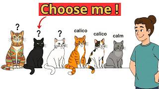 Why You’ve Been Choosing The Wrong Cat Color For Years And The Prophecy Came True On Its Own
