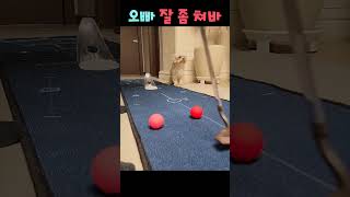 #Shorts 오빠 잘 좀 쳐바