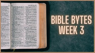 Bible Bytes - Luke 214 - Make Use Of Your Peace