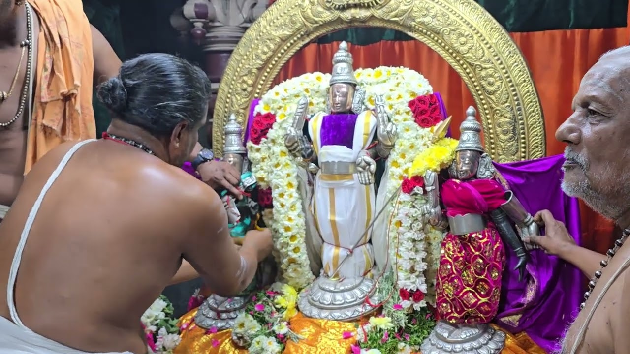 உற்சவர் முருகர் வள்ளி தெய்வானை தாயாருடன் கேடய வீதி உலா உற்சவம் #viral #Tiruttani 
