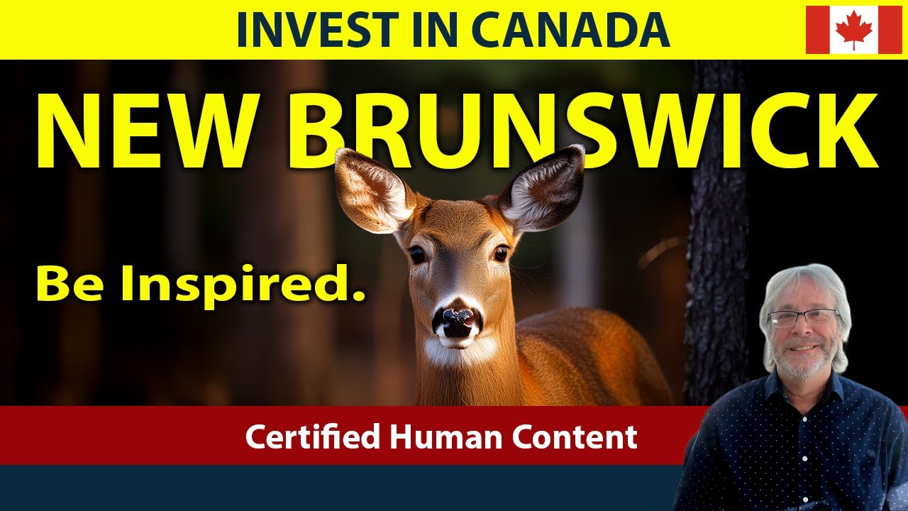 Инвестиции в Канаду: объяснение особенностей провинции Нью-Брансуик.