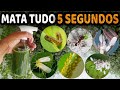 MATA Pulgão, Cochonilha, Formiga, Lagarta, Mosca Branca, Ácaro, Trips (Não Gasta Nada)