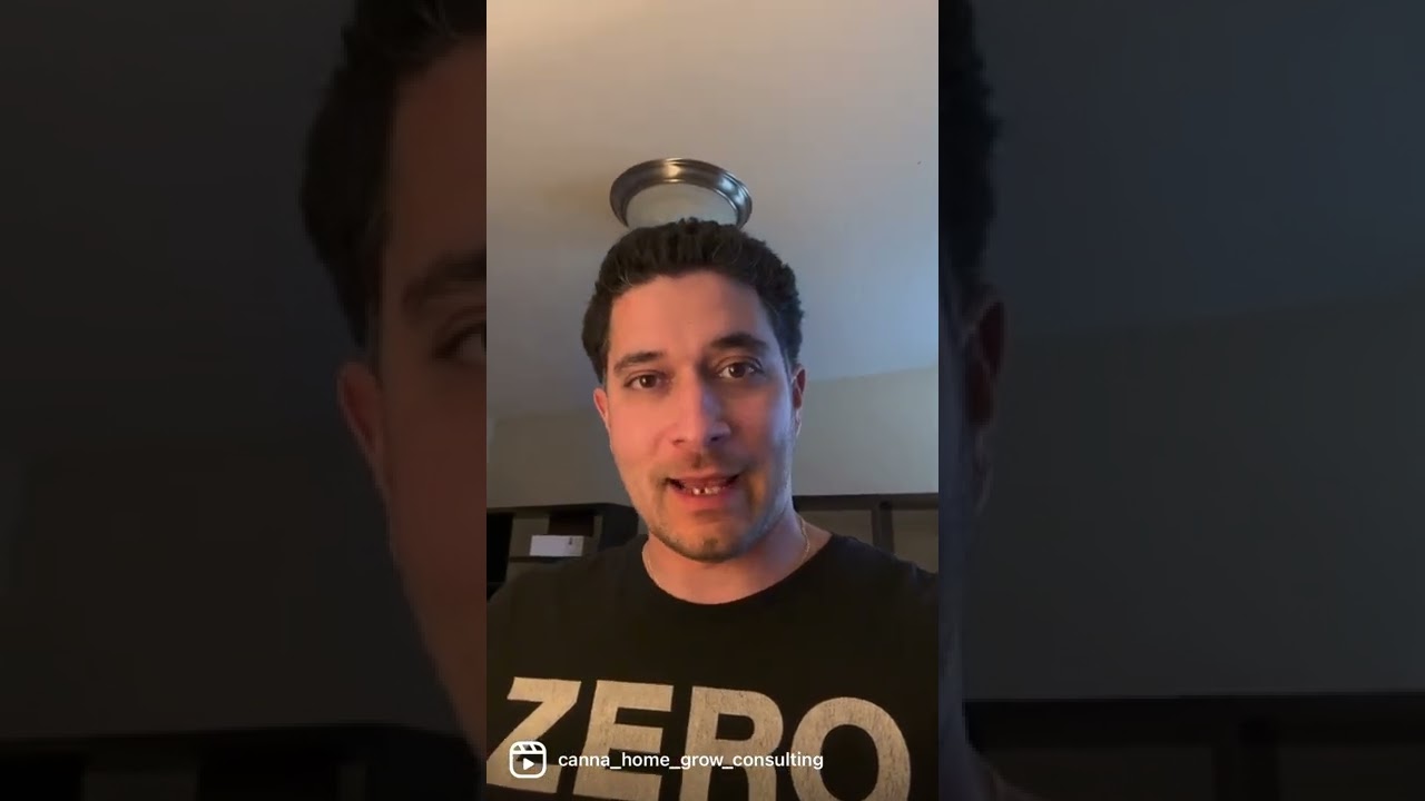 Why you cannot die from Cannabis Consumption and Why a lot of people think that you can.