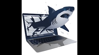 TryHackMe | TShark: The Basics | WriteUp