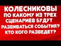 Колесниковы//Кто кого разведет?/ /Обзор видео//