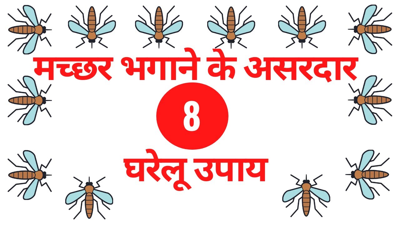 Ghar Ke Machar Bhagane Ka Gharelu Upay How To Kill Mosquitoes In Home In Hindi Mosquito 