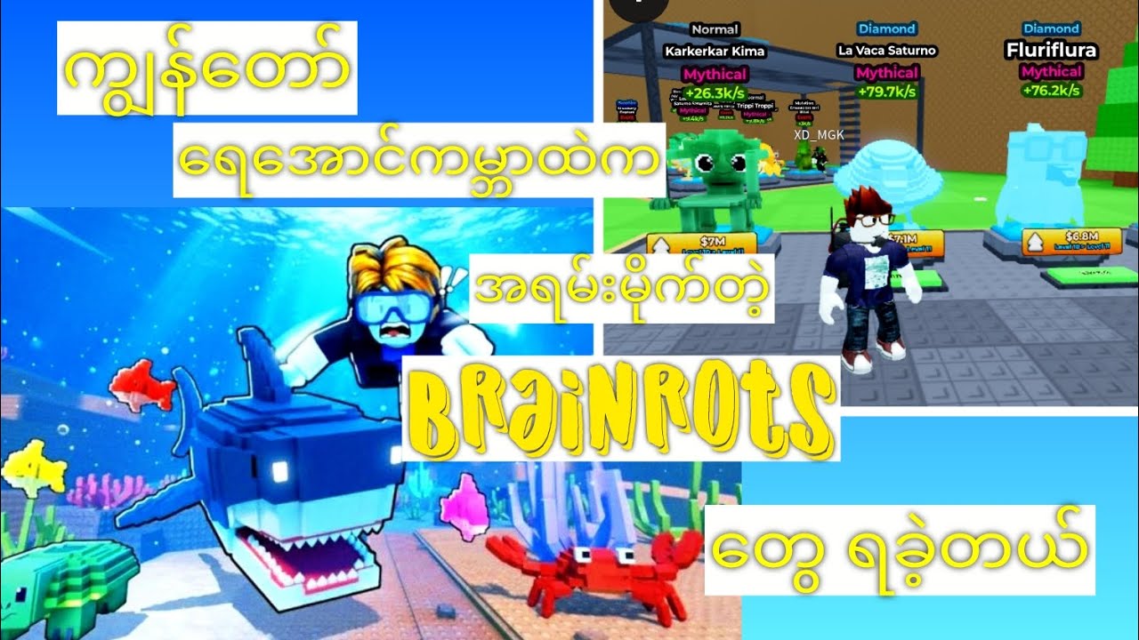ကျွန်တော် ရေအောင်ကမ္ဘာထဲက အရမ်းမိုက်တဲ့ Brainrots တွေ ရခဲ့တယ် Roblox