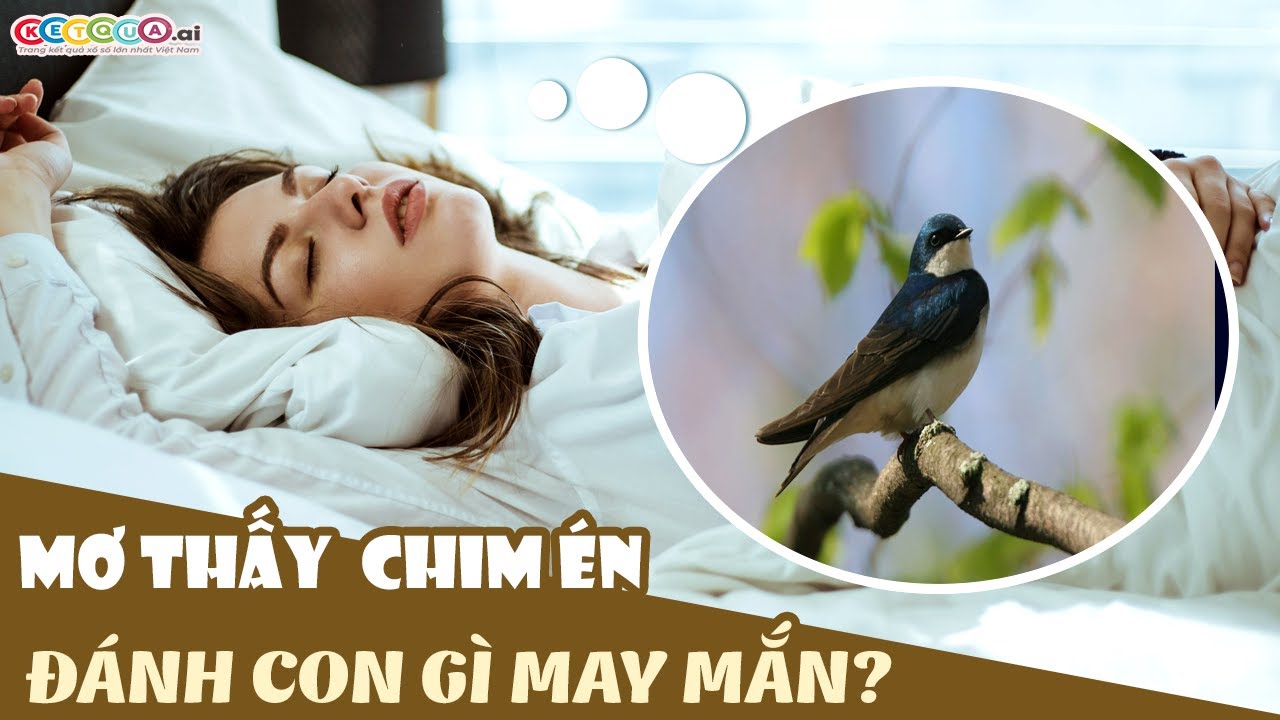 holland casino contact Nằm mơ thấy chim én đánh con gì? Giải mã giấc mơ thấy chim én