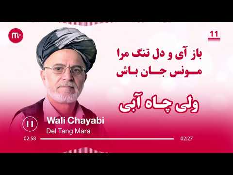 ولی چاه آبی باز آی و دل تنگ مرا مونس جان باش آهنگ قطغنی محلی افغانی