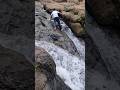 Hidden Stream of Gupt Bhimashankar Jyotirling 🌿 Pure Bliss of Nature 😍 #shorts #jyotirling