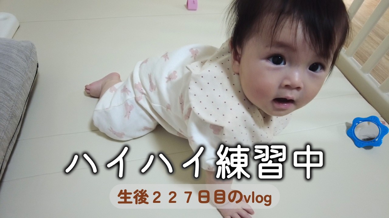 生後227日目 ハイハイ練習中｜里帰りなし,1LDK,完母育児,生後7ヶ月,vlog