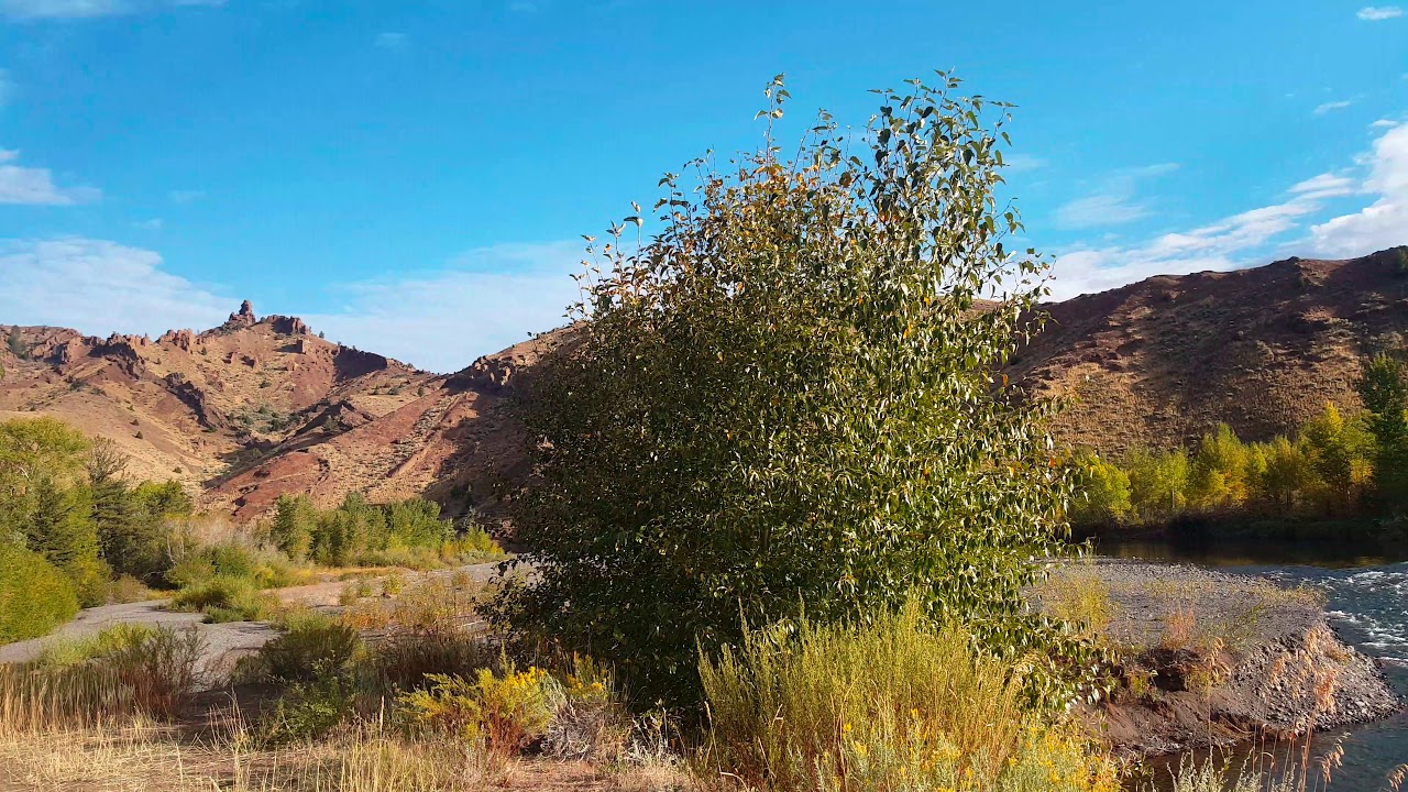 Wyoming The North Fork of the Shoshone River
