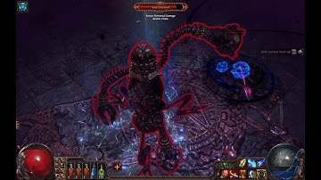 Vaal Oversoul Raid Boss - Path of Exile