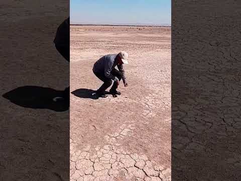 کشف شهاب سنگ دل بیابون