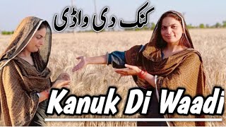 Tabiet Khraab Wheat Season Just Punjabi