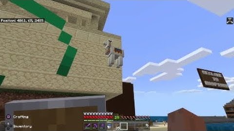 Wandering trader trying to kill Llama