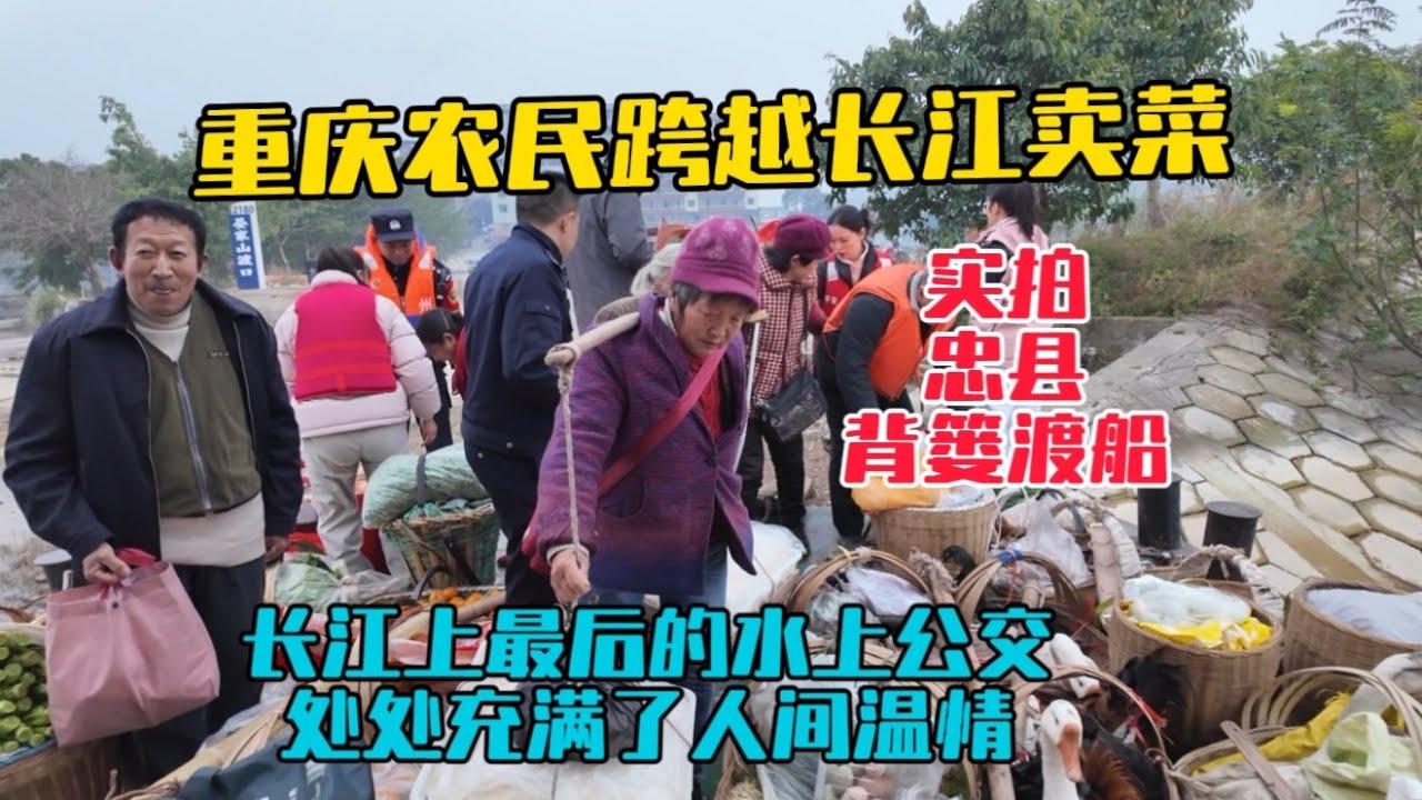 實拍重慶忠縣長江最後的水上公交船，農民每天跨越長江賣菜，背簍渡船處處充滿溫情，中國最勤勞的一代人！