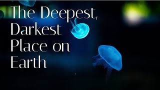 The Deepest, Darkest Place on Earth: Meet the Amazing Creatures of the Hadalpelagic Zone