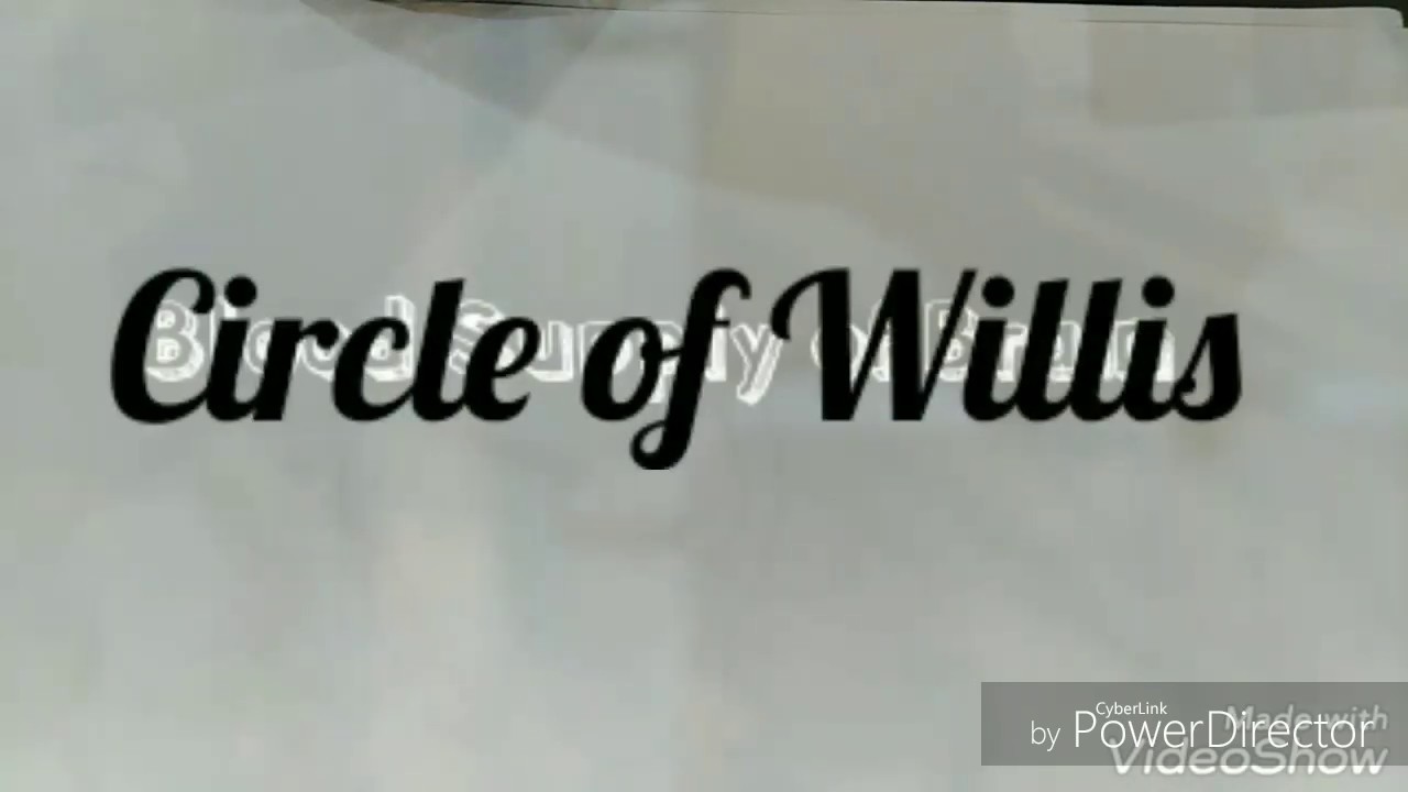 BLOOD SUPPLY OF BRAIN | CIRCLE OF WILLIS | EXPLAINED - YouTube