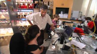Alberta Oil Sands: Air, Biodiversity, Water, First Nations, Reclamation
