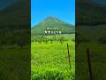 【車なし】大分の絶景、温泉、グルメを満喫するひとり旅【さんふらわあ】 #由布岳 #べっぷ地獄めぐり #弾丸フェリー旅