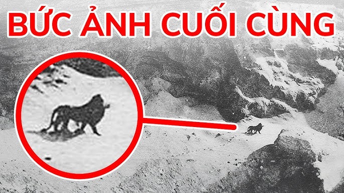 nohuwin - Bí quyết thành công trong lĩnh vực cá cược trực tuyến