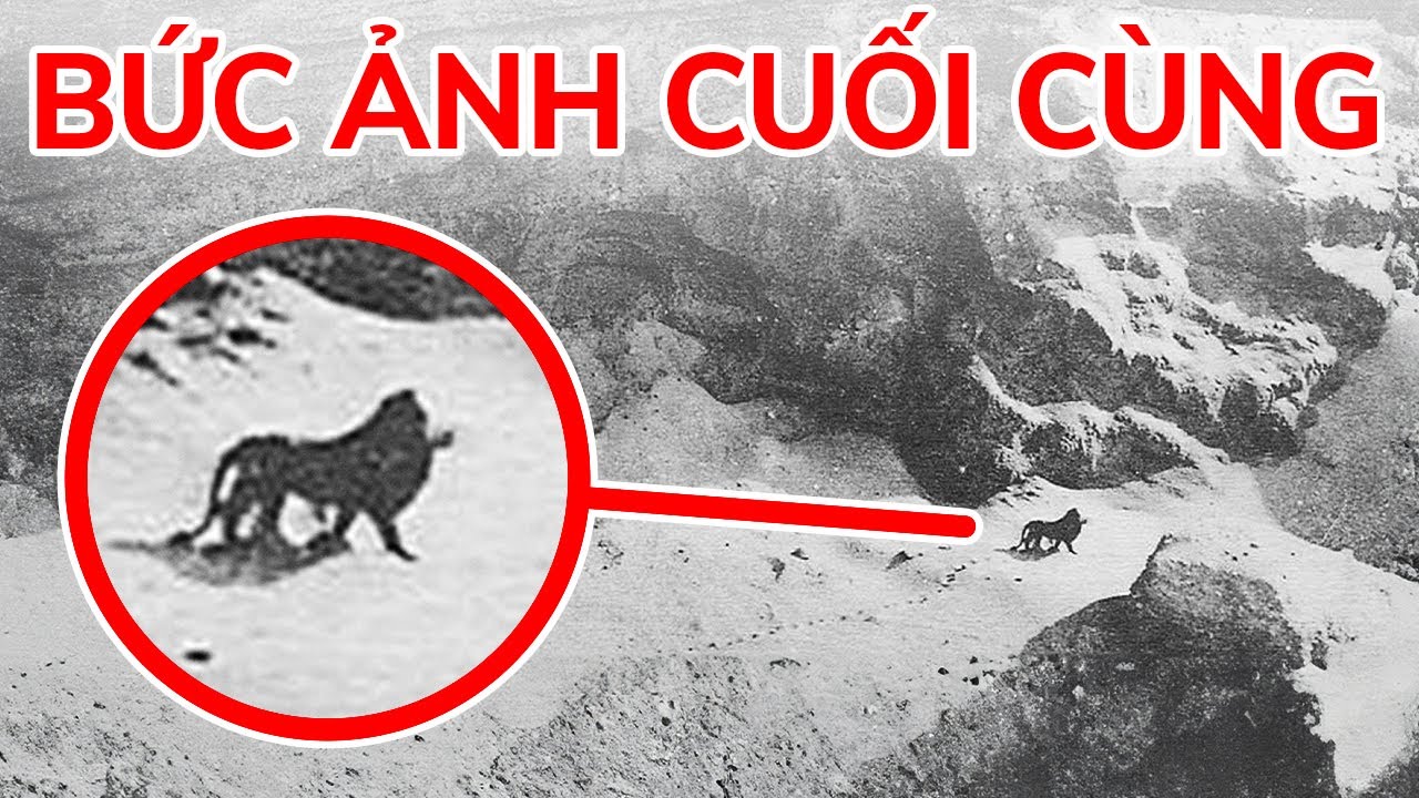 b8 - Bí quyết thành công trong lĩnh vực cá cược trực tuyến