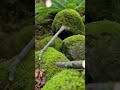 Keychain Forest Branch (Ultra Realistic) #diy #asmrtools #miniaturetools #vairal