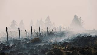 Belgium wildfire 'encircled' ov...