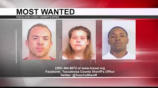 TUSCALOOSA'S MOST WANTED: OCT. 4, 2017
