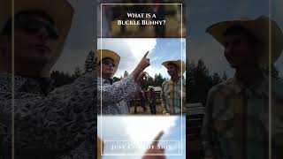 What is a buckle bunny? #cowboys #rodeo #western #funny #whatisabucklebunny #rodeosport