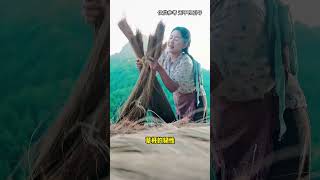 Harvesting Rush Grass #EncyclopediaCode #Knowledgeable