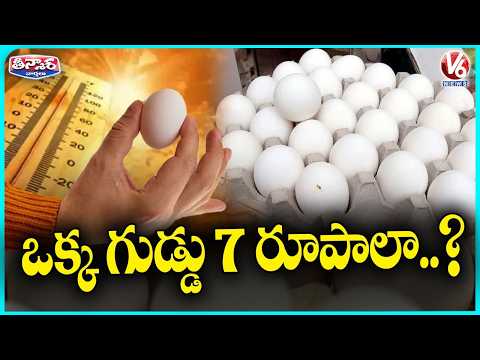 Egg Prices Rise Each To Rs. 7 Due To Effect Of Summer Heat | V6 Teenmaar - V6NEWSTELUGU