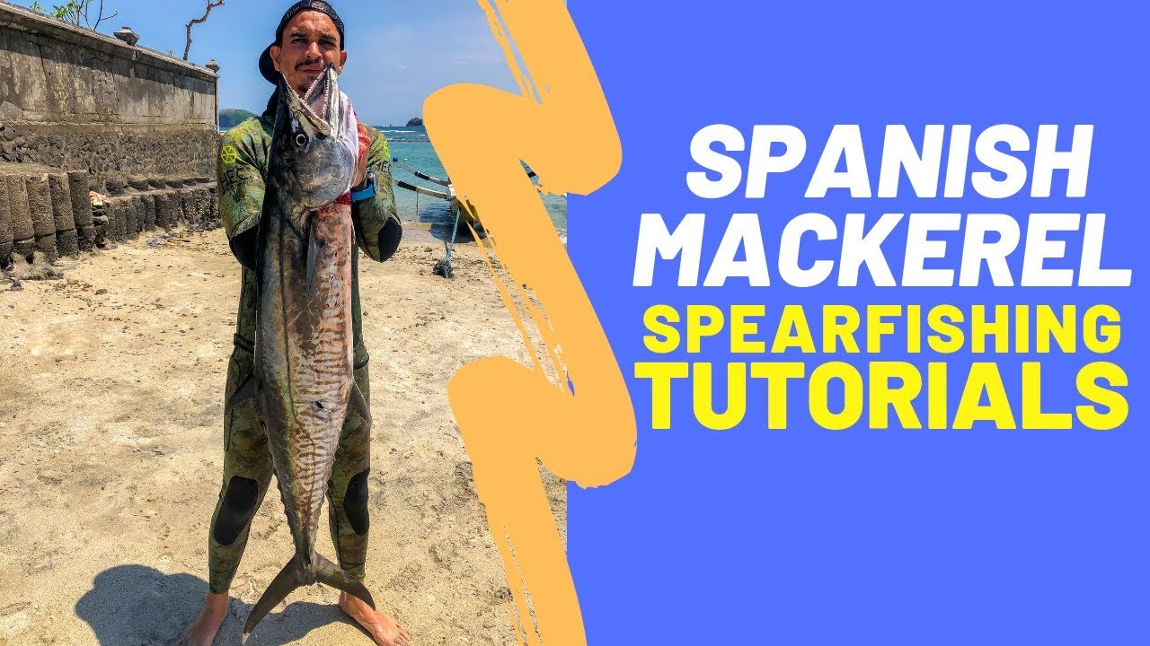 SPEARFISHING SPANISH MACKEREL: How to, Tips and Tutorial
