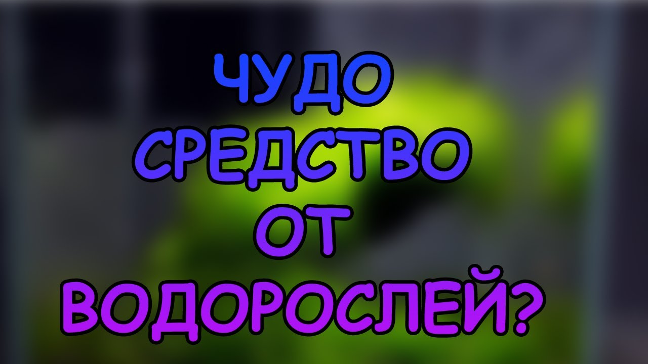 preview_player
