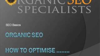 Information SEO Advice for On-Site and Off-Site Website Optimization Update