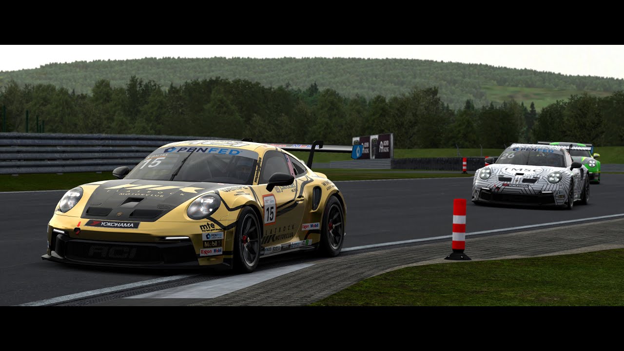 Raceroom Max Graphics With VR Porsche Carrera Cup Blister Berg