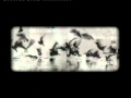 NEILS CHILDREN - ANOTHER DAY
