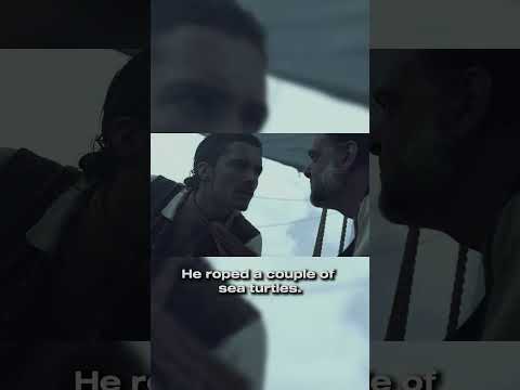 Pirates Of The Caribbean Johnnydepp Piratesofthecaribbean Pirates Film Topfilm Topshorts 