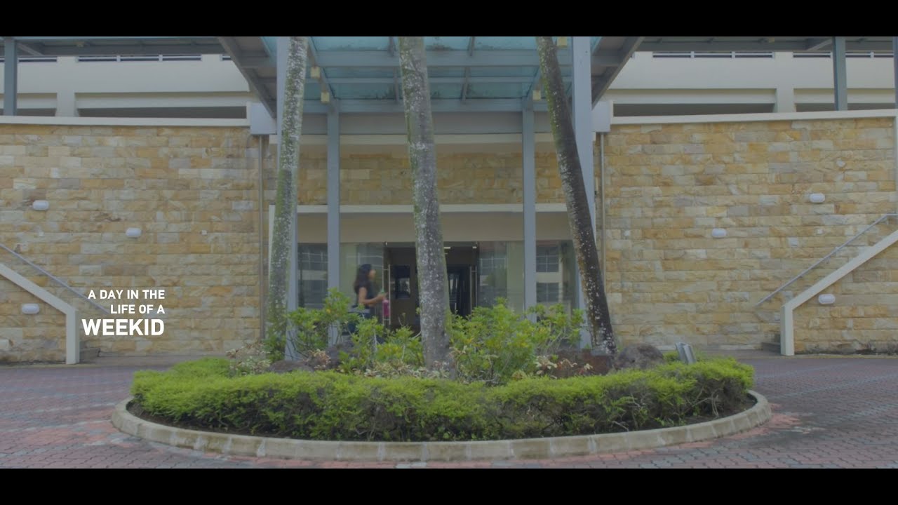 A Day in the Life of a Weekid