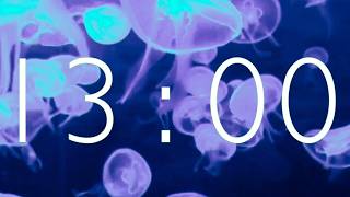 13 Minute Timer with Jellyfish 🪼 | Relaxing Ambient Music Countdown