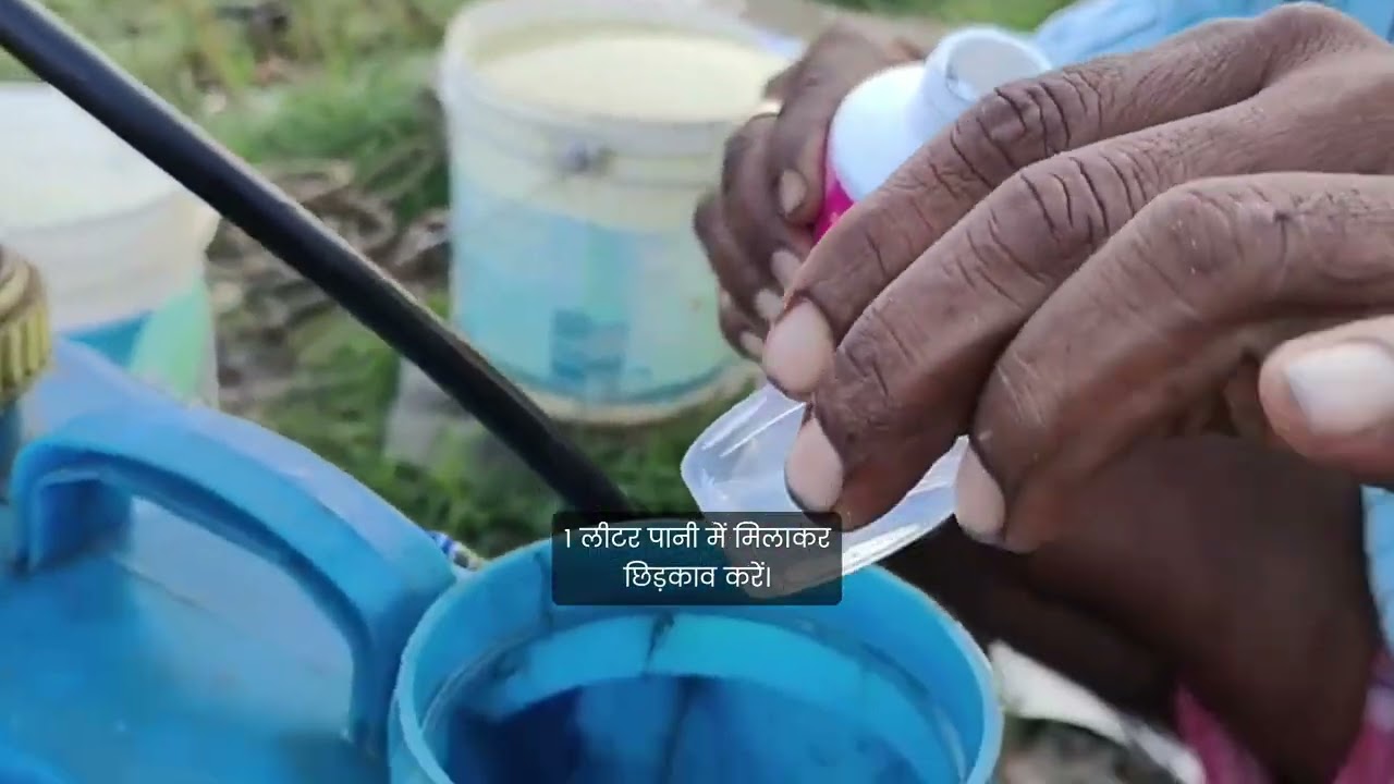 Swaroop Femigrow Reproductive Flower Enhancer फूलों और फलों की संख्या बढ़ाए गुणवता युक्त उपज पांए