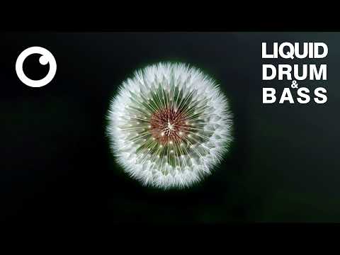 Liquid Drum & Bass Mix 2021 #51