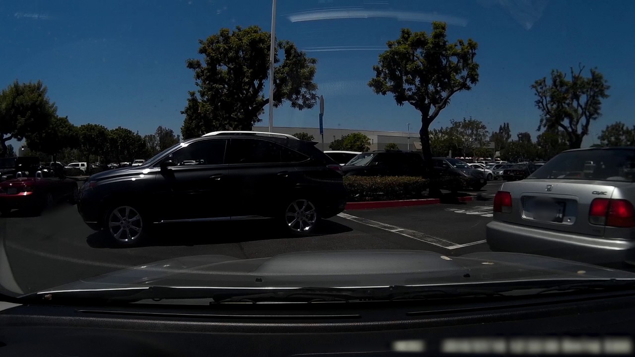 Costco Gas Line Fun 2