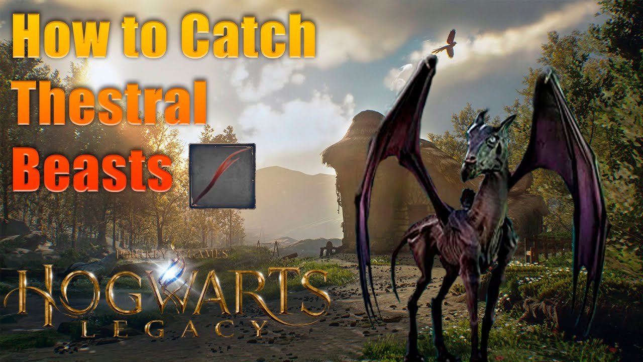 Hogwarts Legacy How to Catch Thestral Beasts for Get Thestral Hair