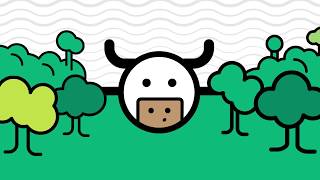 Stopping deforestation: EDF connects the dots