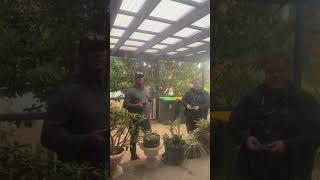 IMG 9799