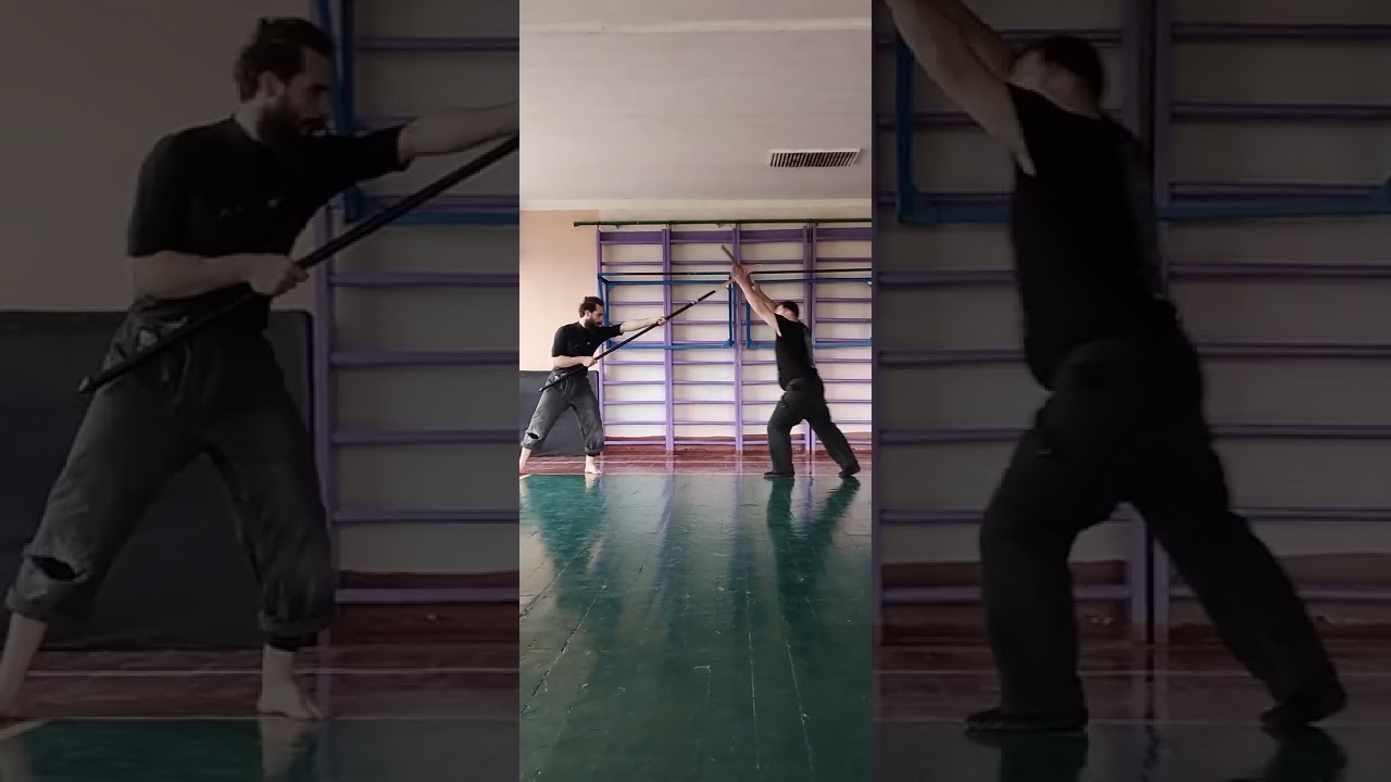 Кагэ рю / реконструкция техник (техника 6) / Kage Ryu / Reconstruction Technique (Technique 6)