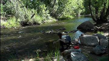 Testing for E. coli in real time
